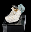 Gemmy Aquamarine Beryl Crystal with Schorl Tourmaline on Microcline (6.7 cm)