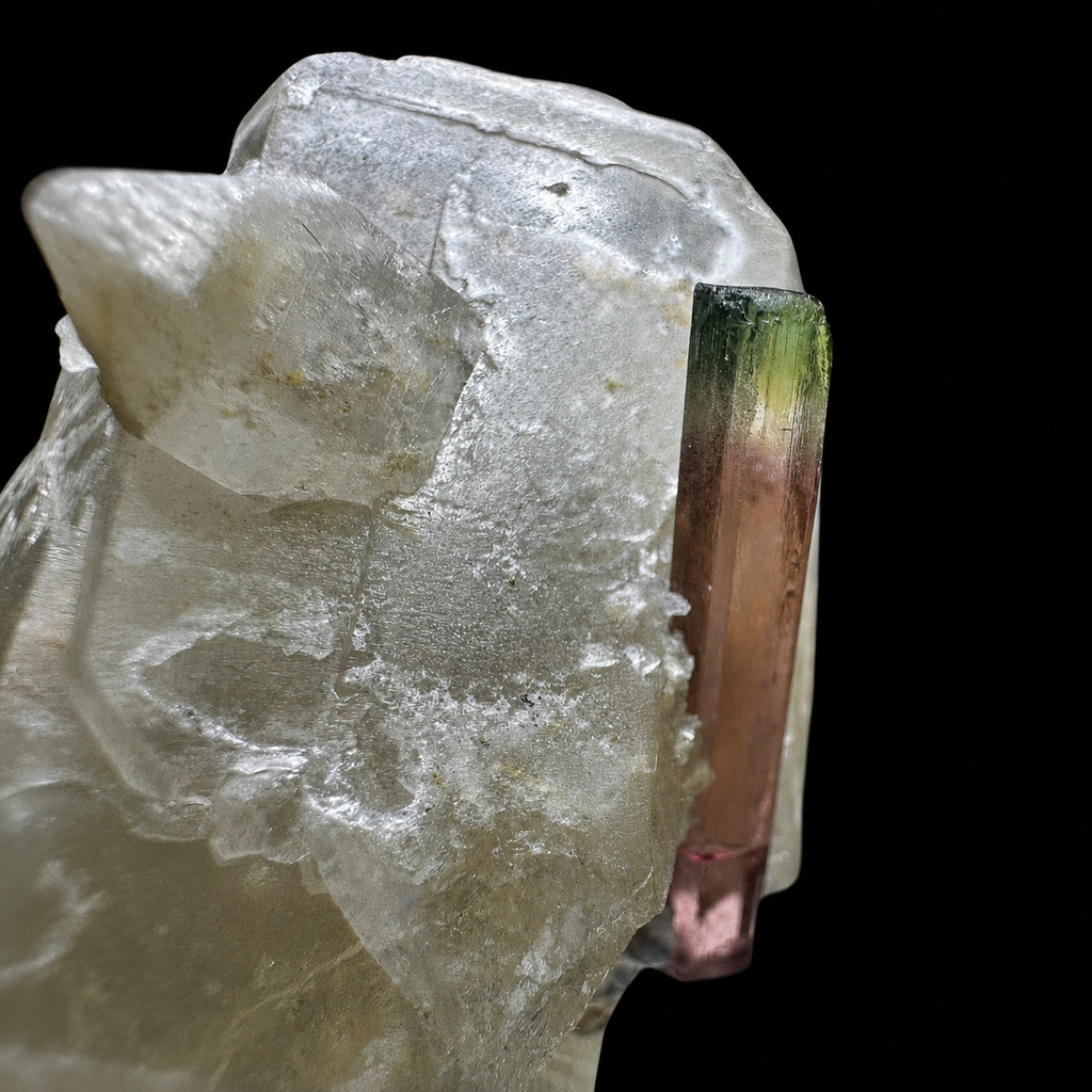 Bicolor Tourmaline on Quartz from Minas Gerais, Brazil