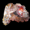 Petrified Wood with Quartz from Chemnitz, Germany