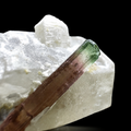 Bicolor Tourmaline on Quartz from Minas Gerais, Brazil