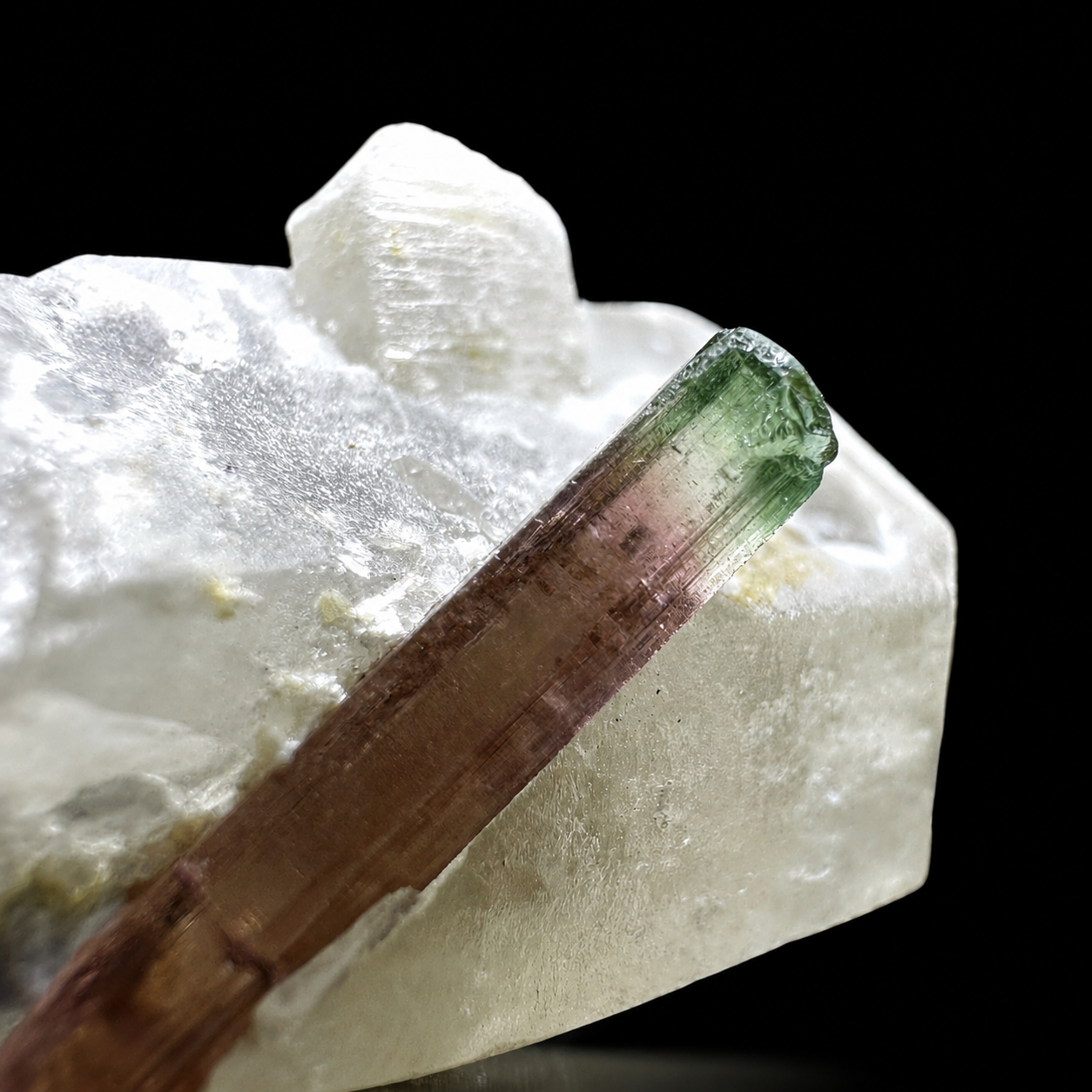 Bicolor Tourmaline on Quartz from Minas Gerais, Brazil